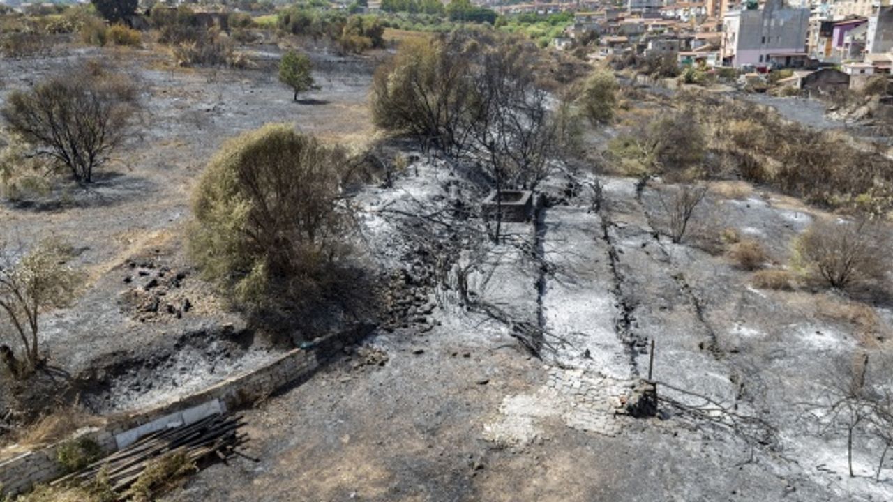 İtalya'da da orman yangınları etkili oluyor