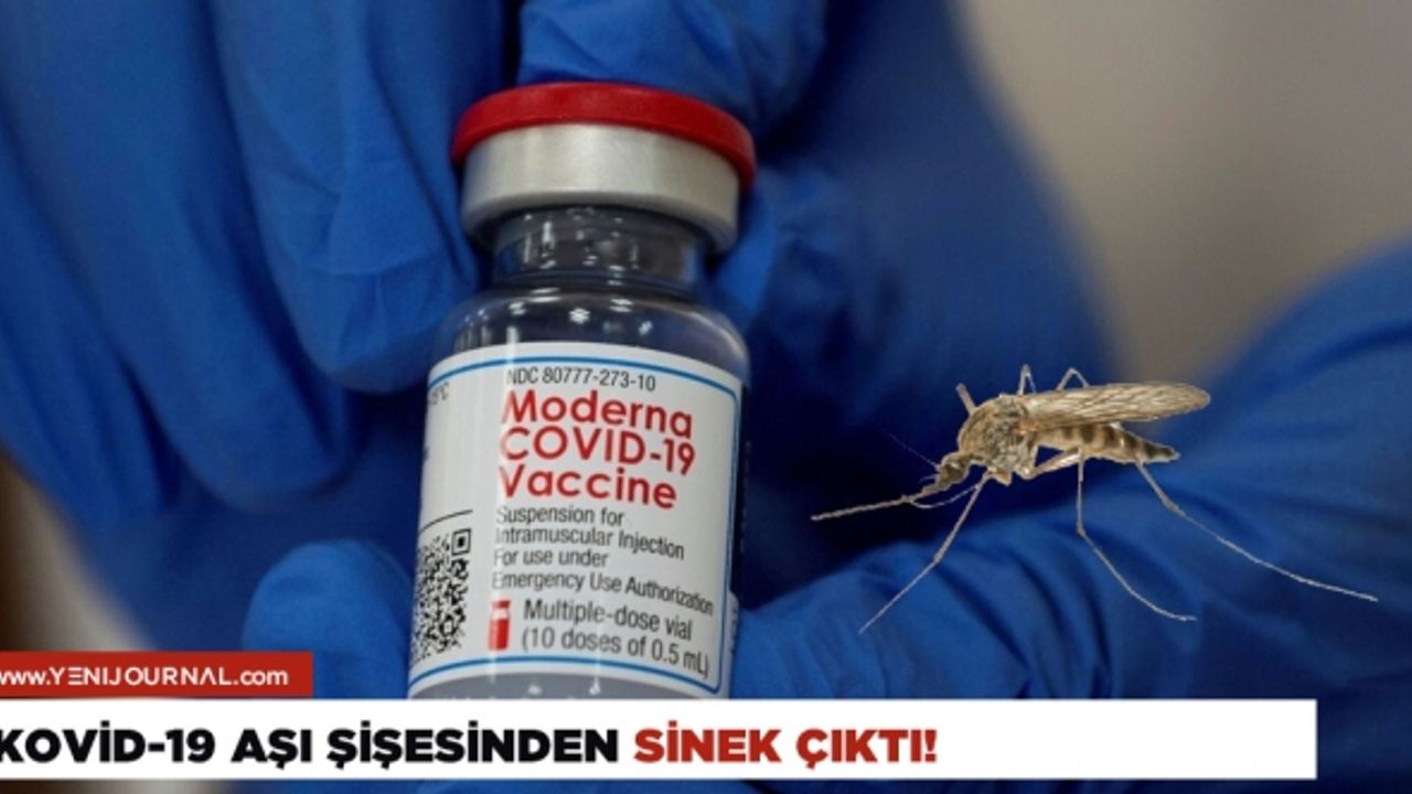 Kovid-19 aşı şişesinden sinek çıktı!