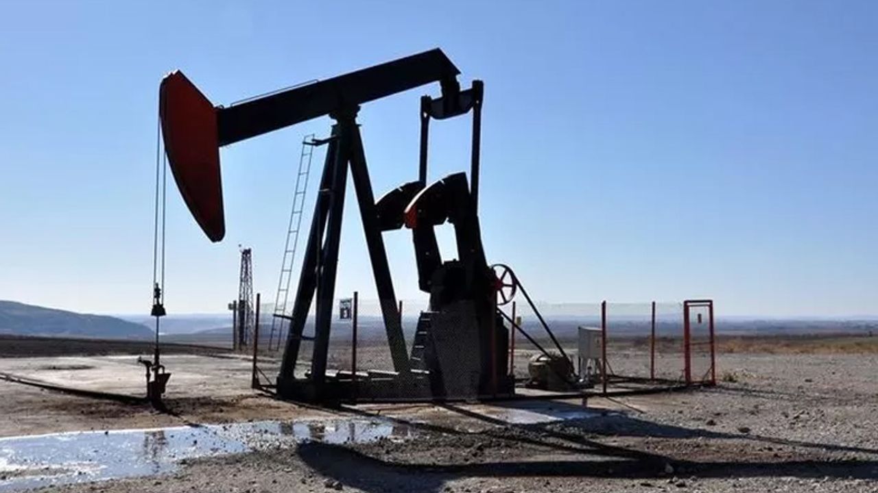 TPAO'nun 3 ildeki petrol arama ruhsatının süresi uzatıldı