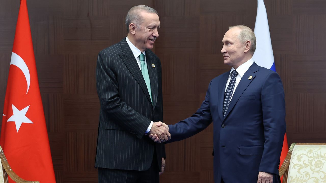 Erdoğan, Putin'le tahıl koridorunu görüştü
