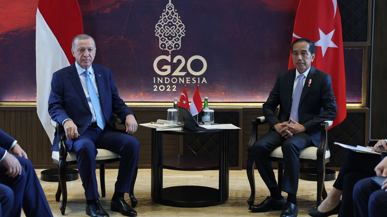 Cumhurbaşkanı Erdoğan, Endonezya Devlet Başkanı'yla görüştü