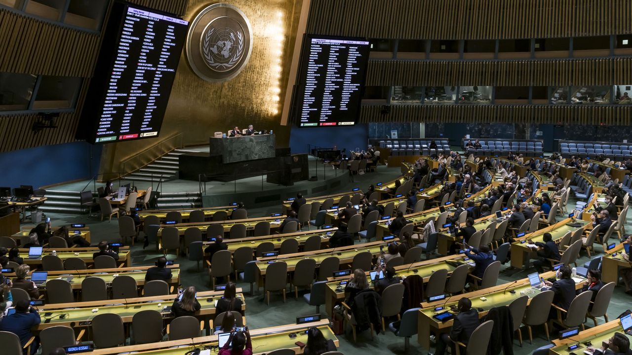BM'den Ukrayna'ya tazminat ödenmesi hakkında karar