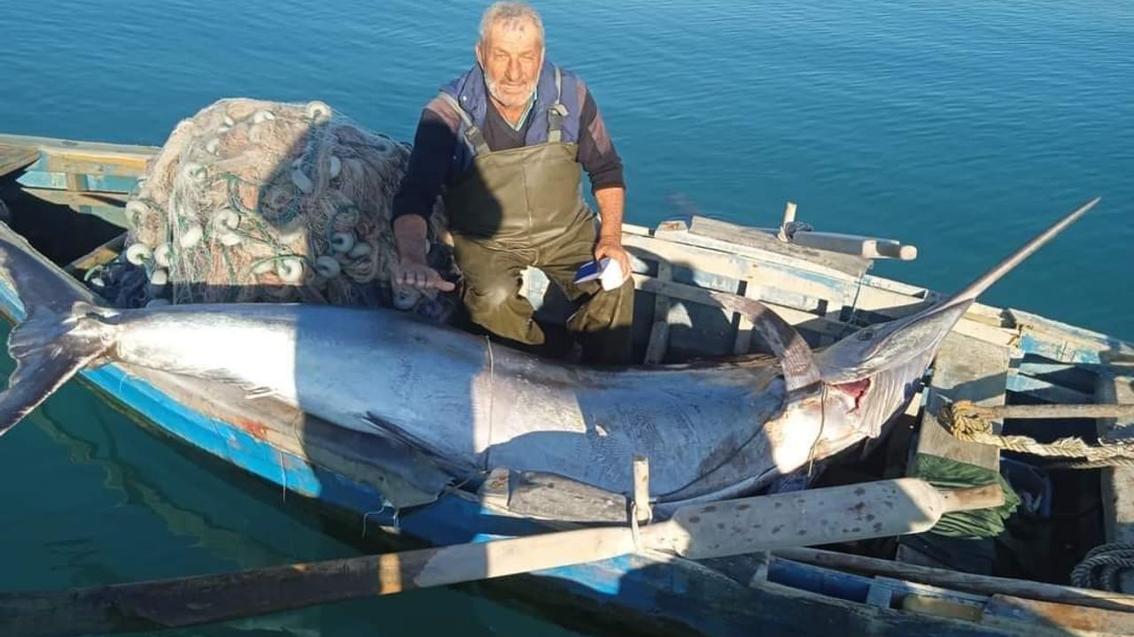 Balıkçı ağlarına 'Blue Marlin' balığı takıldı