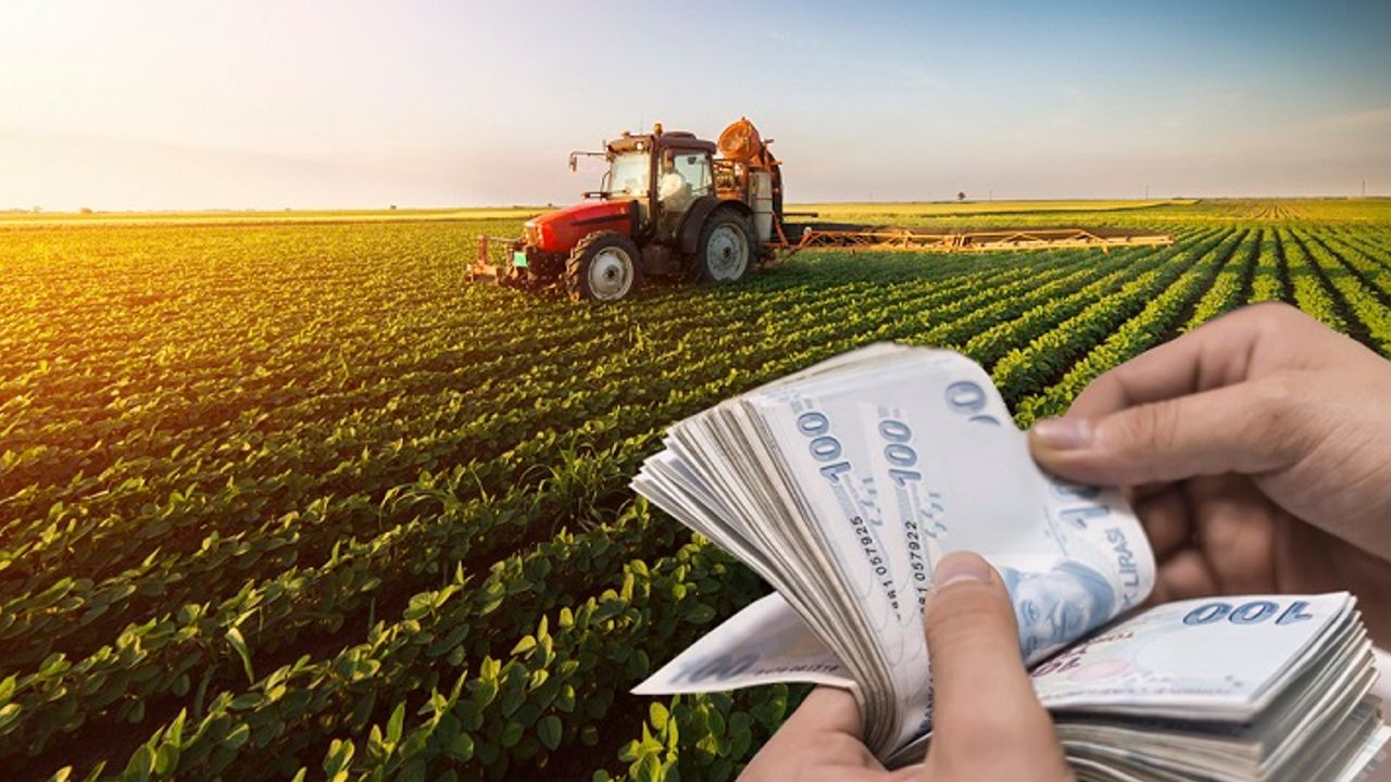 Tarım-ÜFE yıllık yüzde 169,45 arttı