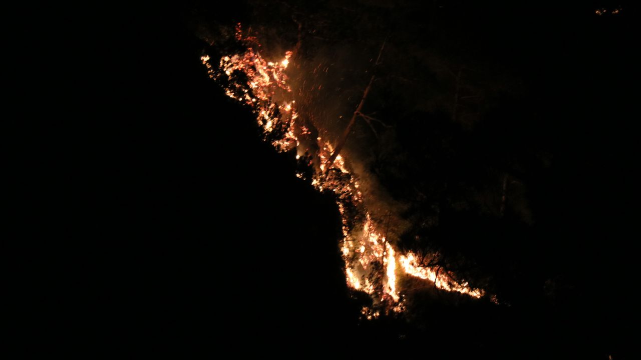 Alanya'daki büyük orman yangını kontrol altında!
