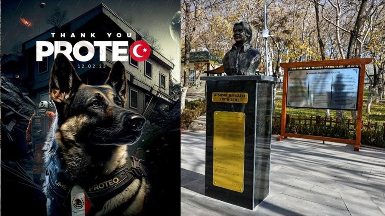 Yardım için Türkiye’ye koşan Meksikalı kahraman köpek Proteo!