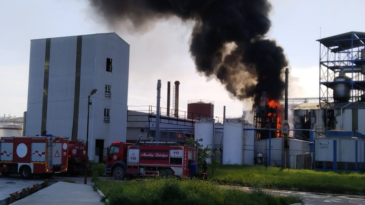 Lüleburgaz'da fabrika yandı!