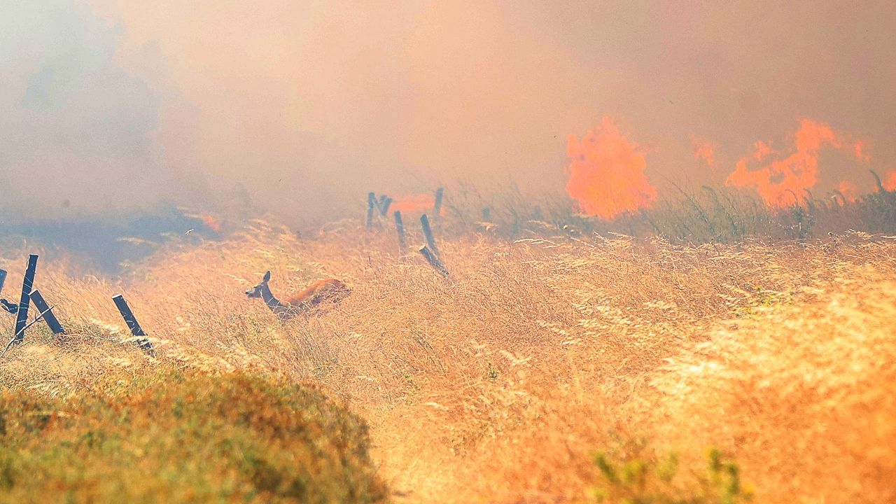 Çanakkale yangını büyüyor: Tahliye edilen vatandaşlar Valilik tesislerinde kalacak!