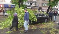 Ankara'da 3 aracın üzerine ağaç devrildi