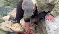 Kayalıktaki dev ahtapotu elleriyle avladı