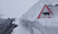 Kar kalınlığı tabela boyunu geçti