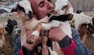 Fenomen çobanın oğlak sevgisi yürekleri ısıttı