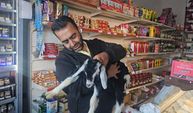 'Zeytin' isimli oğlak, mahallenin maskotu haline geldi