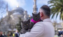 İstanbul'u gezen seyyah kedinin omuz macerasına yavrusu da katıldı