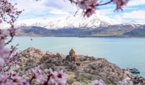 Akdamar Adası çiçek açan badem ağaçlarıyla renklendi