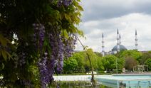 Sümbüller Gençlik Parkı’nı renklendirdi!