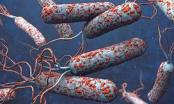 37 kişide kolera tespit edildi