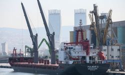 Ukrayna'dan mısır taşıyan gemi, İzmir Alsancak Limanı'na geldi
