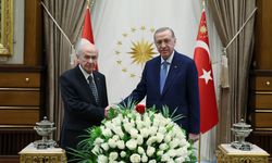 Erdoğan ve Bahçeli görüşecek