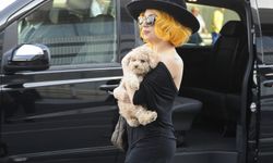 Lady Gaga'nın köpeklerini kaçırana hapis cezası!