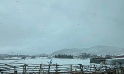 Ankara'ya yılın ilk karı yağdı