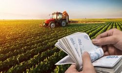 Çiftçilere tarımsal destek ödemesine bugün başlanıyor