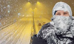 Bingöl'de 2 günlük kar izni