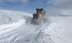 Kar Sivas'ı fena vurdu: 52 köy yolu kapandı