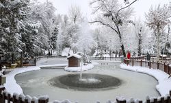 Ankara'da kar güzelliği!
