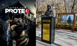 Yardım için Türkiye’ye koşan Meksikalı kahraman köpek Proteo!
