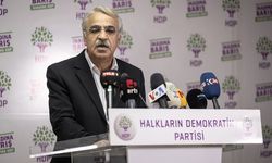 "HDP olarak seçime gitmek sakıncalı"