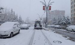 Diyarbakır, Şırnak ve Siirt kar altında!