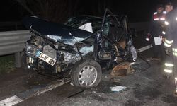 TEM Otoyolu'nda feci kaza: 2 ölü, 7 yaralı
