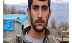 Dönmez'in kardeşi de ‘Gri’ kategoride PKK’dan aranıyor