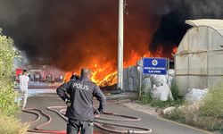 Antalya'da dehşet anları: Yangın seralara sıçradı!