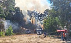 Antalya'da orman yangını başladı: Ekipler seferber oldu!