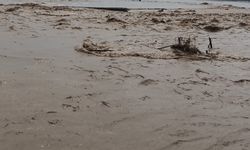 Antalya'yı sel vurdu sahil çamura döndü!