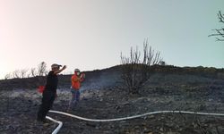 Datça'daki yangında 25 hektarlık alan zarar gördü