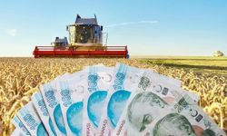 Çiftçilere müjde: Bugün 124 milyon lira ödeme yapılacak!
