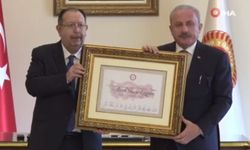 Cumhurbaşkanı Erdoğan'ın mazbatası teslim edildi!