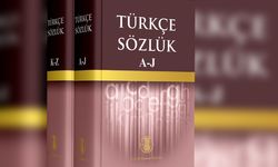 TDK'den 'Türkiyeli' açıklaması: İnceleme başlatıldı