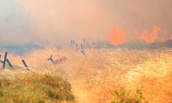 Çanakkale yangını büyüyor: Tahliye edilen vatandaşlar Valilik tesislerinde kalacak!