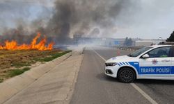 Anız yangını tarlaya sıçradı: İstanbul-Edirne yolu trafiğe kapandı
