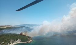 İzmir yanıyor! Vatandaşlar denizden tahliye ediliyor