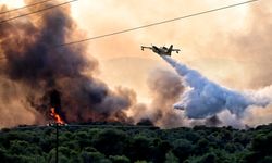 Yangın söndürme uçağı düştü: 2 pilot öldü