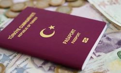 Sahte pasaport operasyonu