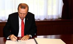 Erdoğan'dan gece yarısı kararı: Göç İdaresi'ne Toros getirildi!