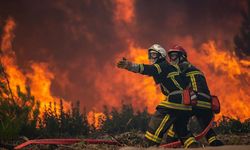 10 günde, 40 ilde 203 orman yangını meydana geldi