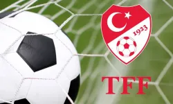 Beşiktaş ve Fenerbahçe'nin para cezalarını onadı