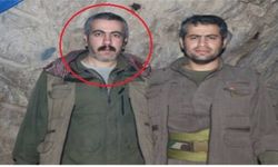 PKK'nın arşiv sorumlusu 'Sidar Serhat' etkisiz hale getirildi!